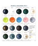 Carta de colores forja Nº1